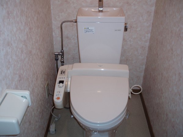 Other. Toilet