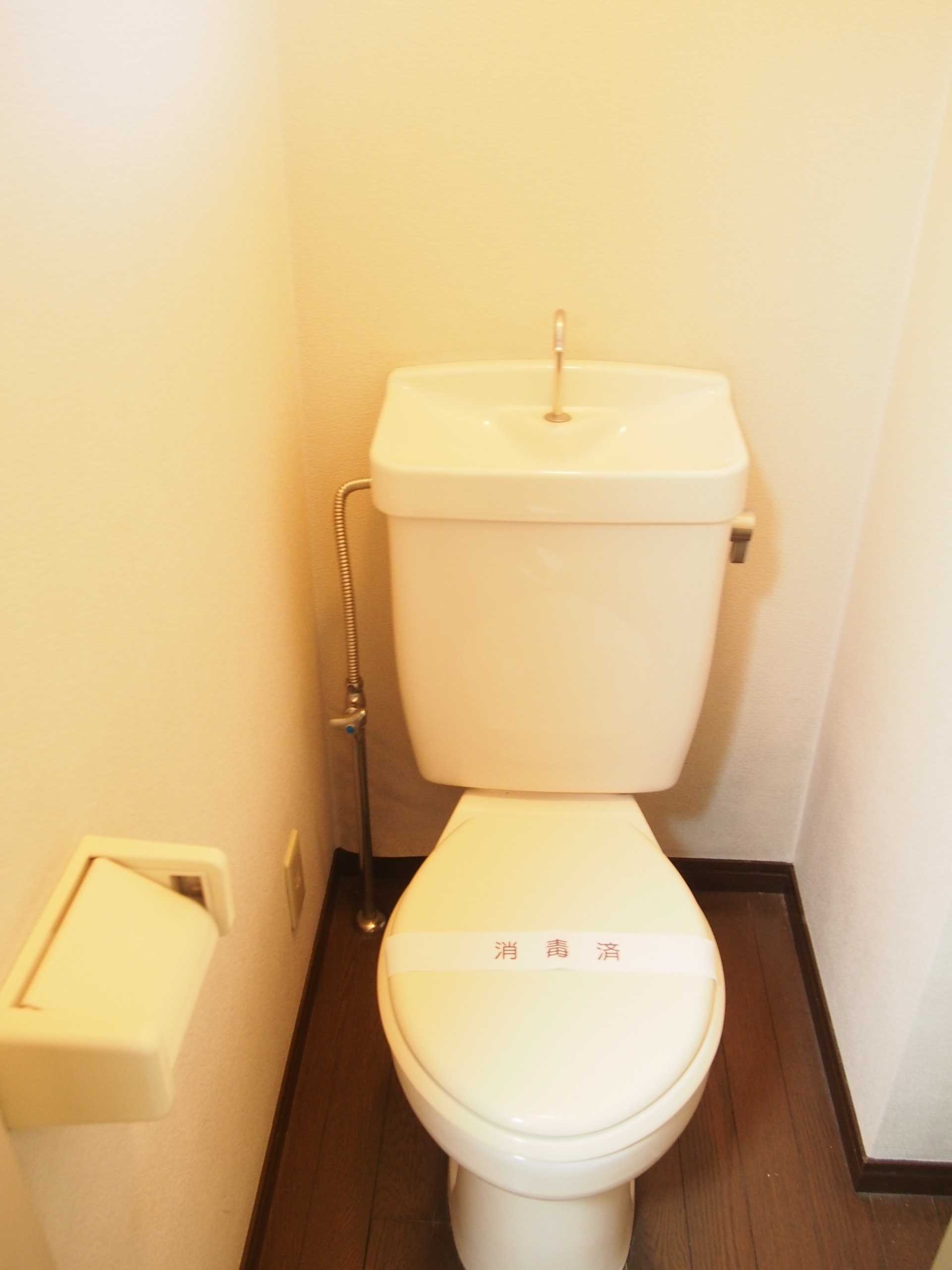 Toilet. Toilet with cleanliness