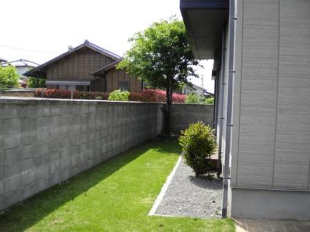 Garden. There are trees lawn and cherry.