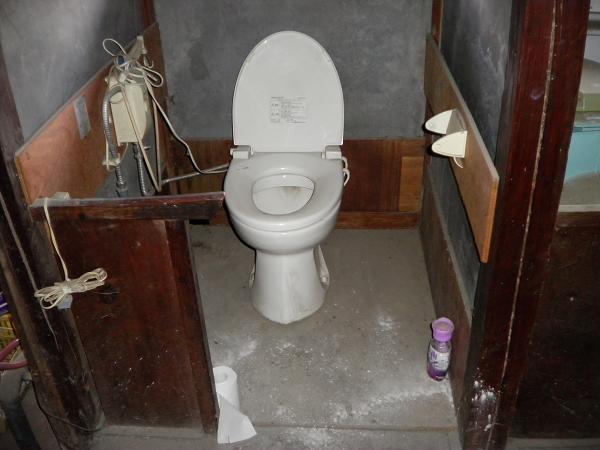 Toilet. Simple flush toilet