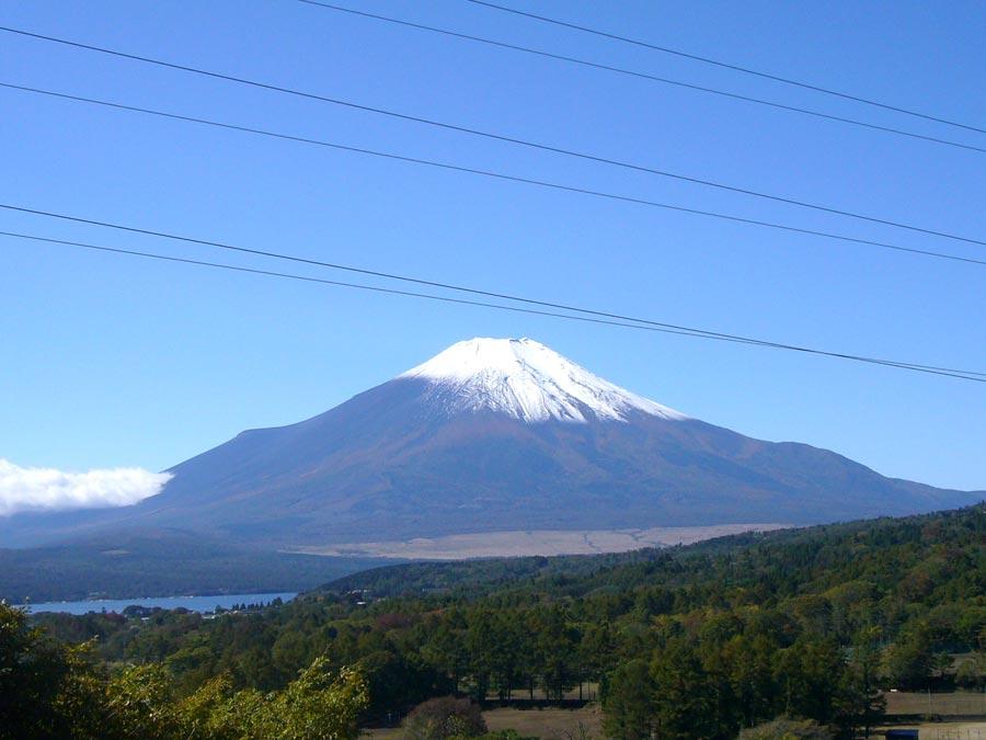 View photos from the local. Fuji seen from local and Lake Yamanaka