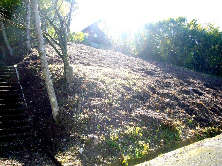 Local photos, including front road. Land shape