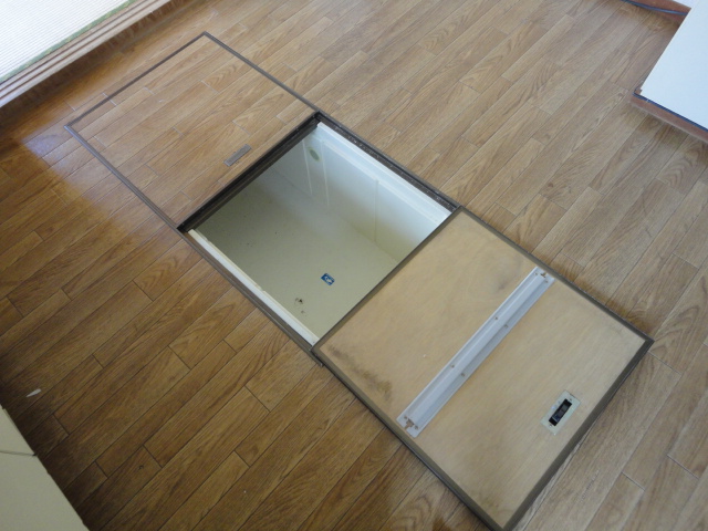 Other. Underfloor Storage