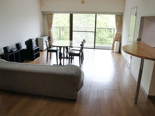 Living. View of good living