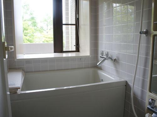 Bathroom. Bathroom with window