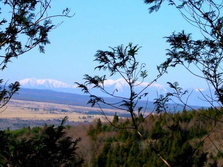 View photos from the dwelling unit. Southern Alps overlooking from the balcony
