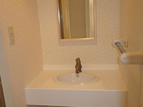 Wash basin, toilet. Renovated